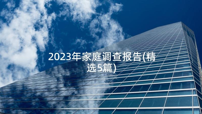 2023年家庭调查报告(精选5篇)