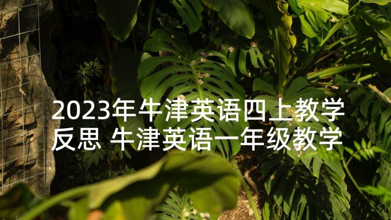 2023年牛津英语四上教学反思 牛津英语一年级教学反思(汇总5篇)