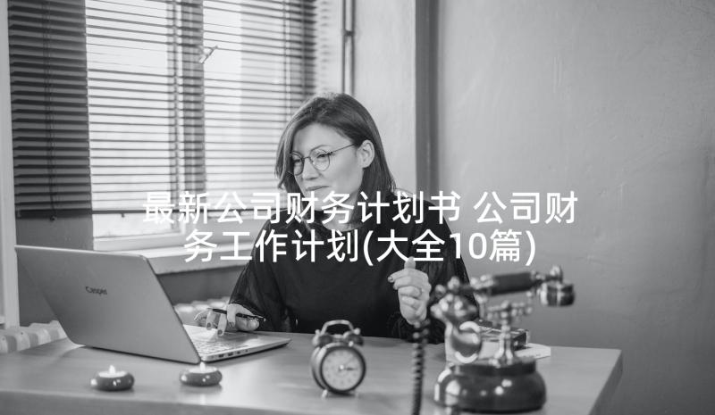 最新公司财务计划书 公司财务工作计划(大全10篇)