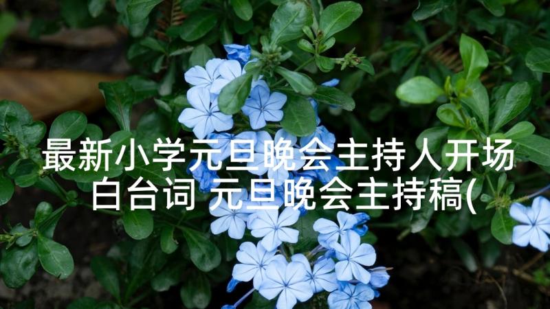 最新小学元旦晚会主持人开场白台词 元旦晚会主持稿(汇总9篇)