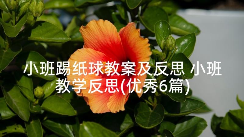 小班踢纸球教案及反思 小班教学反思(优秀6篇)