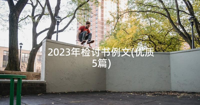 2023年检讨书例文(优质5篇)