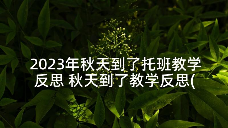 2023年秋天到了托班教学反思 秋天到了教学反思(精选5篇)