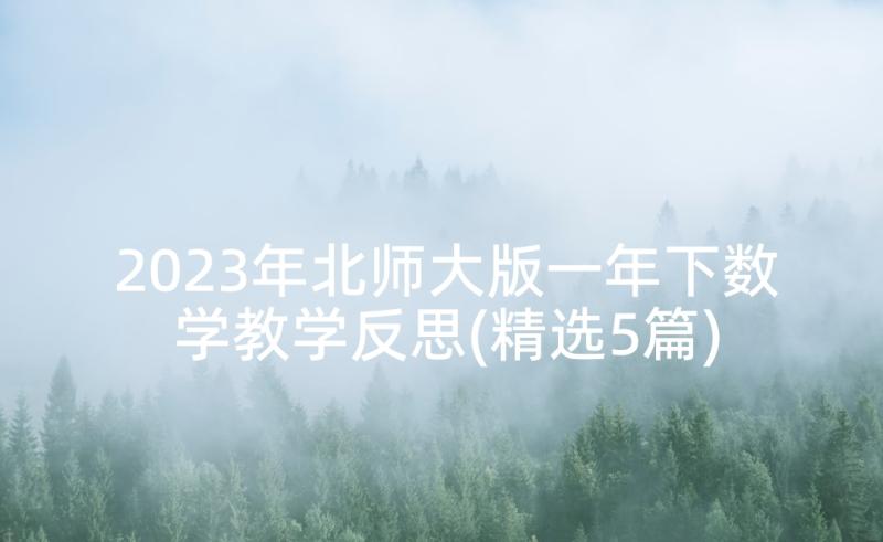 2023年北师大版一年下数学教学反思(精选5篇)