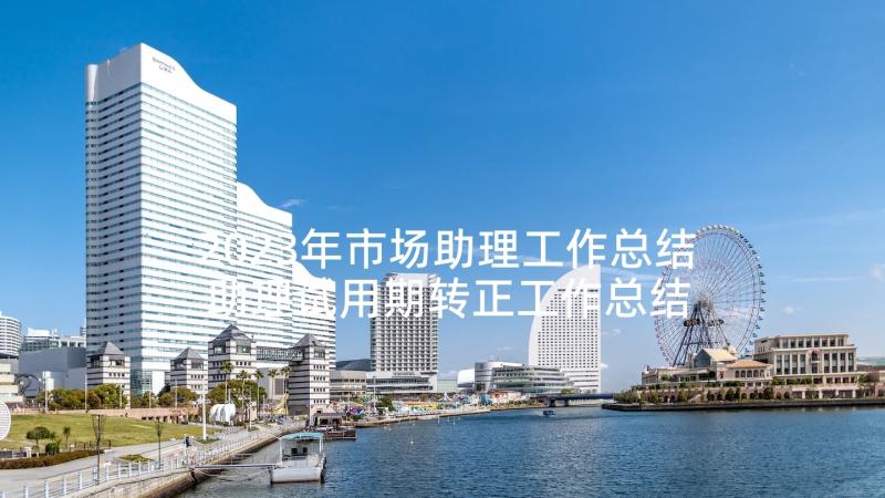 2023年市场助理工作总结 助理试用期转正工作总结(实用5篇)