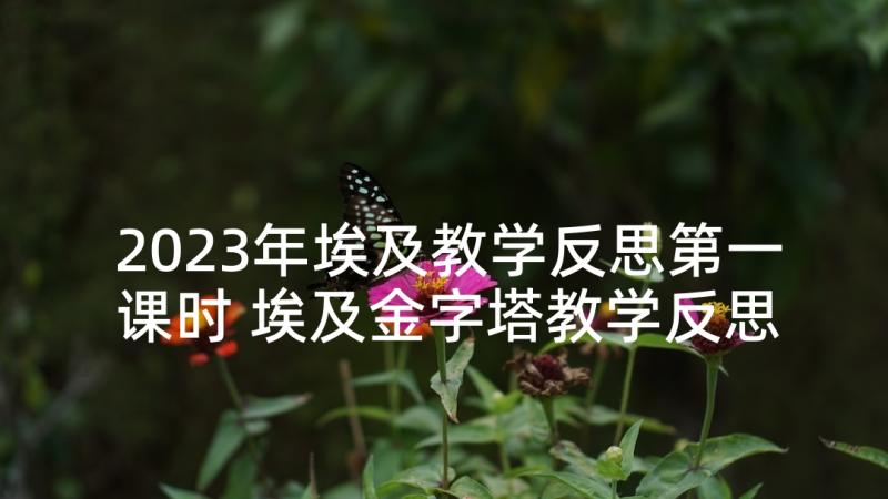 2023年埃及教学反思第一课时 埃及金字塔教学反思(优质5篇)