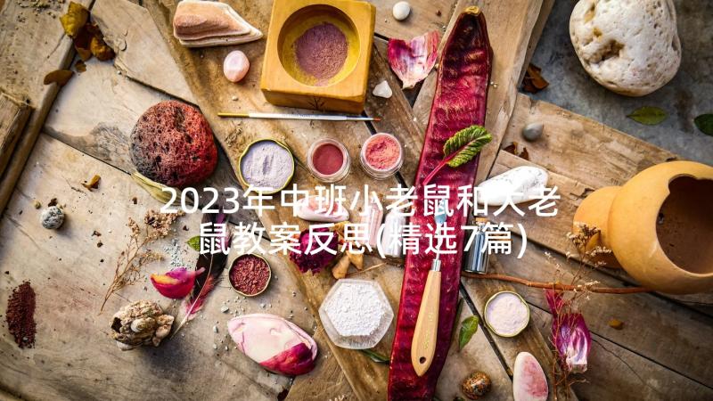 2023年中班小老鼠和大老鼠教案反思(精选7篇)