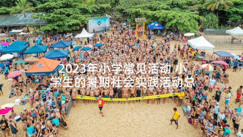 2023年小学常见活动 小学生的暑期社会实践活动总结(优秀5篇)