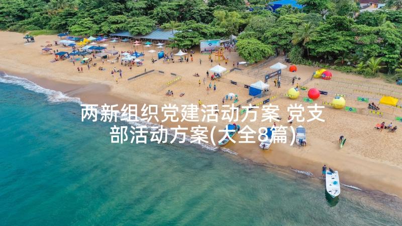 两新组织党建活动方案 党支部活动方案(大全8篇)