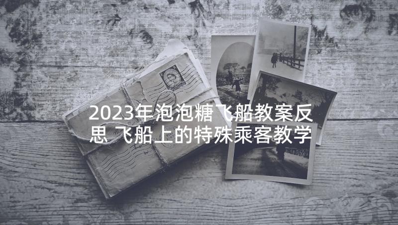 2023年泡泡糖飞船教案反思 飞船上的特殊乘客教学反思(优秀5篇)