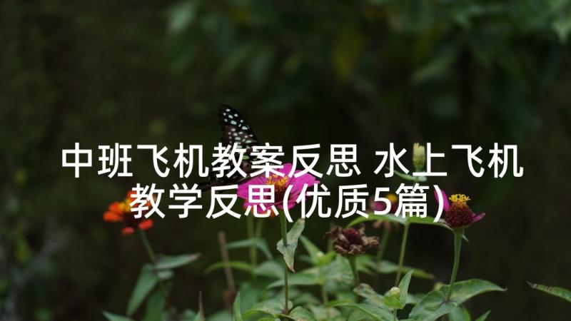 中班飞机教案反思 水上飞机教学反思(优质5篇)