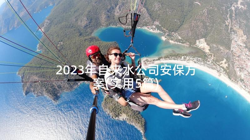 2023年自来水公司安保方案(实用5篇)