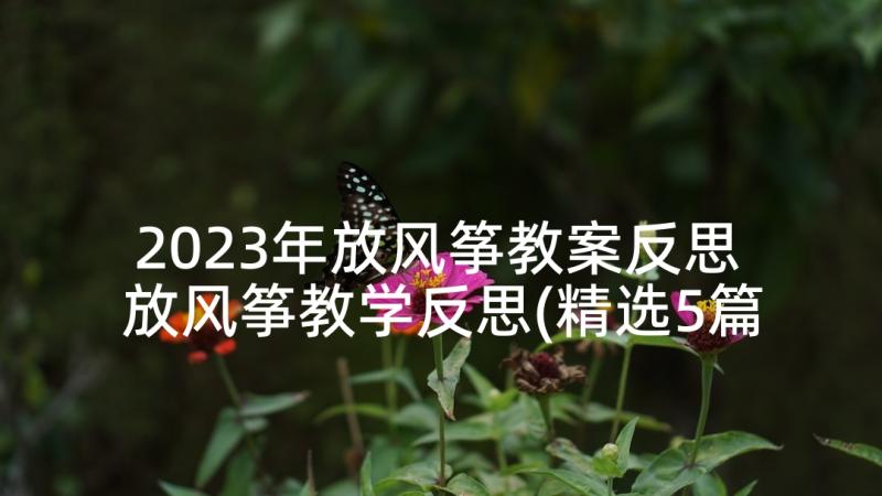 2023年放风筝教案反思 放风筝教学反思(精选5篇)