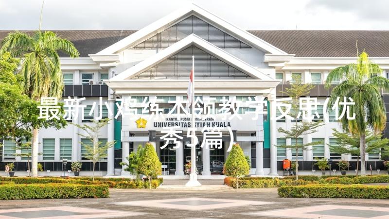 最新小鸡练本领教学反思(优秀5篇)