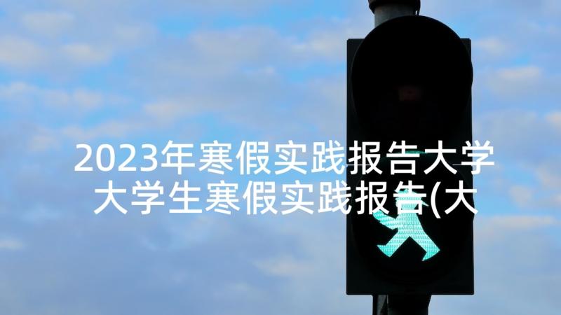 2023年寒假实践报告大学 大学生寒假实践报告(大全10篇)