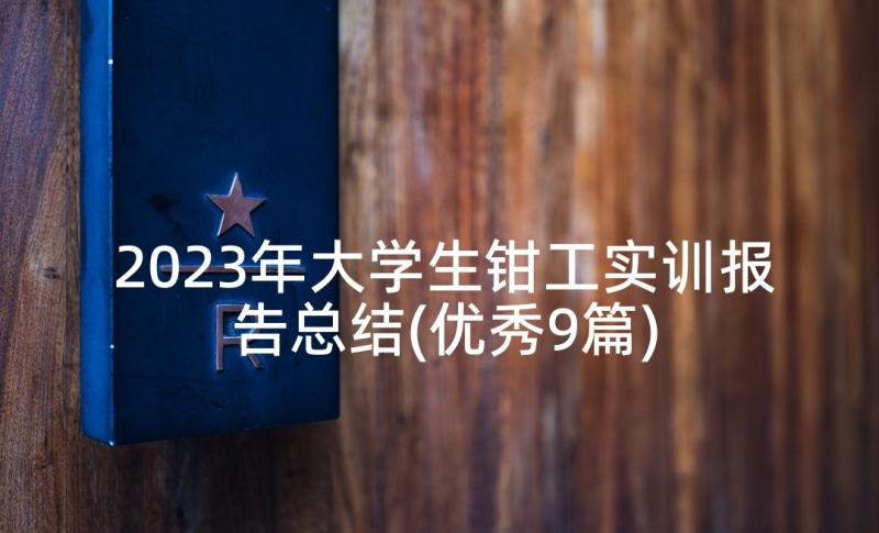 2023年大学生钳工实训报告总结(优秀9篇)