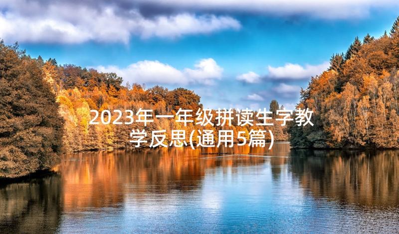 2023年一年级拼读生字教学反思(通用5篇)