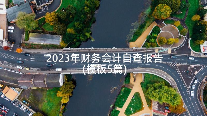 2023年财务会计自查报告(模板5篇)