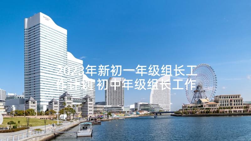 2023年新初一年级组长工作计划 初中年级组长工作计划(汇总5篇)