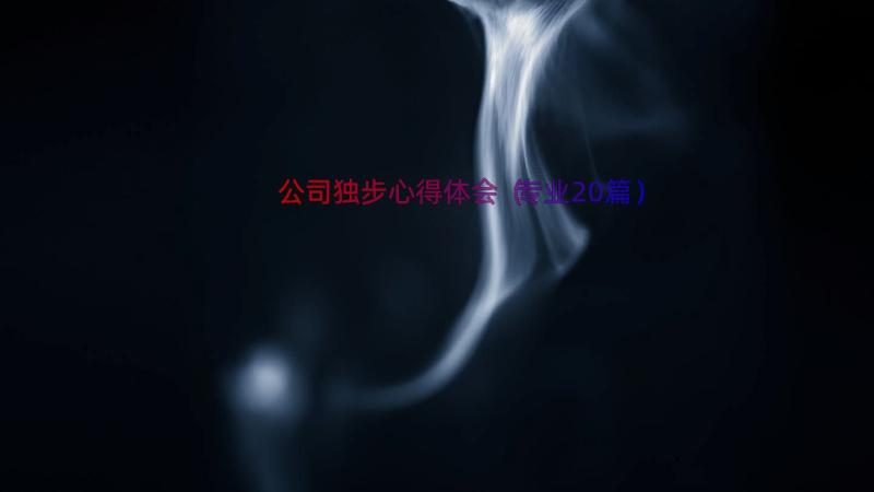 公司独步心得体会（专业20篇）