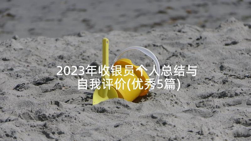 2023年收银员个人总结与自我评价(优秀5篇)