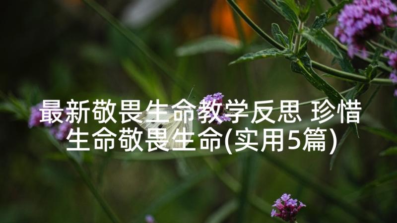 最新敬畏生命教学反思 珍惜生命敬畏生命(实用5篇)