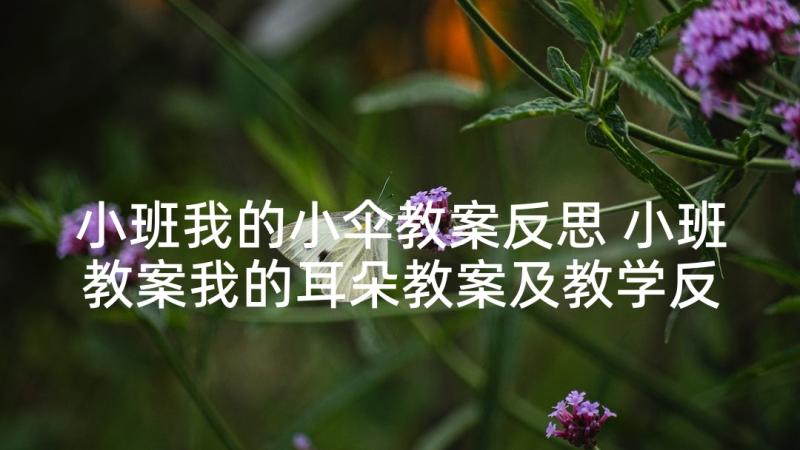 小班我的小伞教案反思 小班教案我的耳朵教案及教学反思(通用5篇)