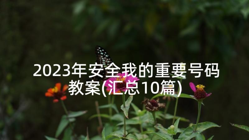 2023年安全我的重要号码教案(汇总10篇)