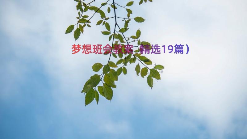 梦想班会教案（精选19篇）