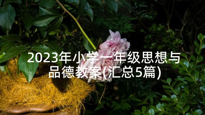 2023年小学一年级思想与品德教案(汇总5篇)