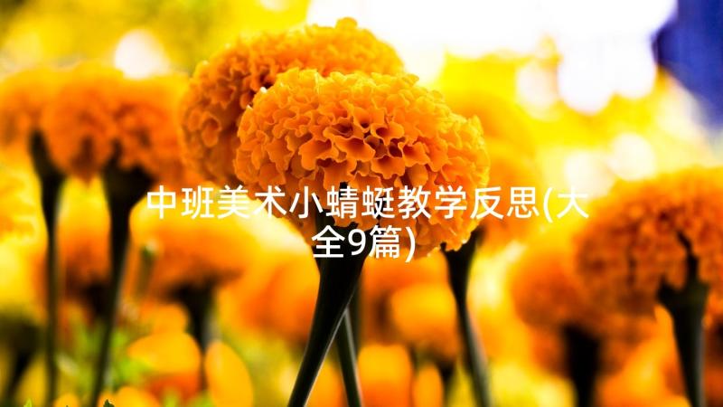 中班美术小蜻蜓教学反思(大全9篇)