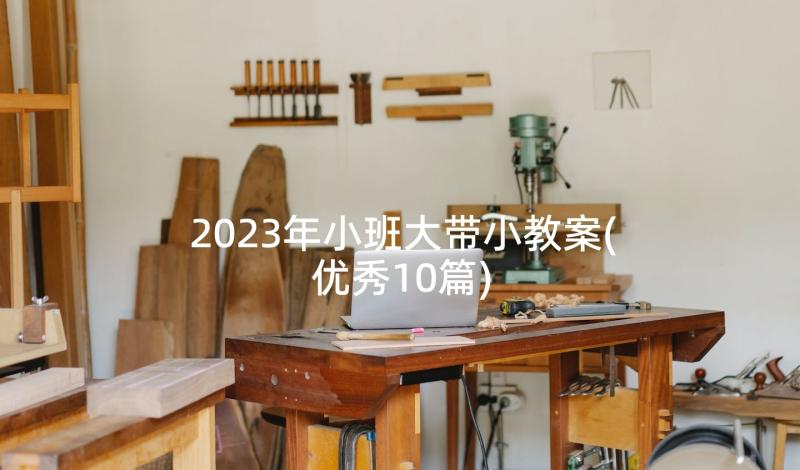 2023年小班大带小教案(优秀10篇)