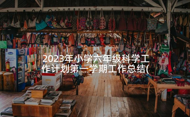 2023年小学六年级科学工作计划第一学期工作总结(精选5篇)