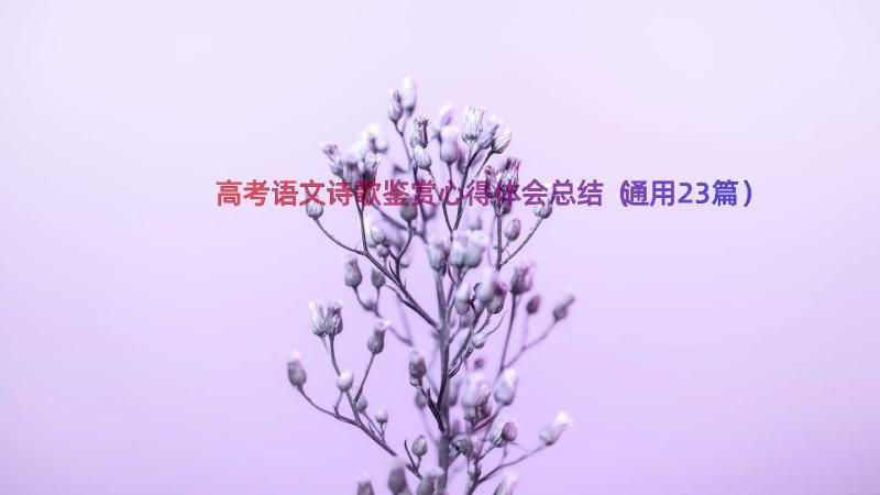 高考语文诗歌鉴赏心得体会总结（通用23篇）