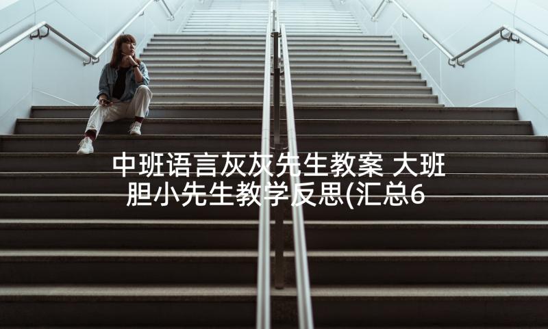 中班语言灰灰先生教案 大班胆小先生教学反思(汇总6篇)