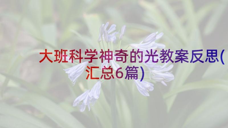 大班科学神奇的光教案反思(汇总6篇)