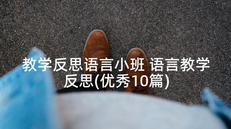 教学反思语言小班 语言教学反思(优秀10篇)