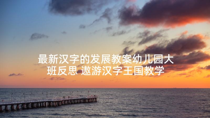 最新汉字的发展教案幼儿园大班反思 遨游汉字王国教学反思(精选10篇)
