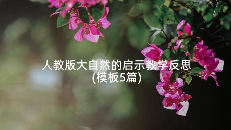 人教版大自然的启示教学反思(模板5篇)