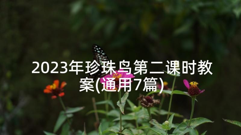 2023年珍珠鸟第二课时教案(通用7篇)