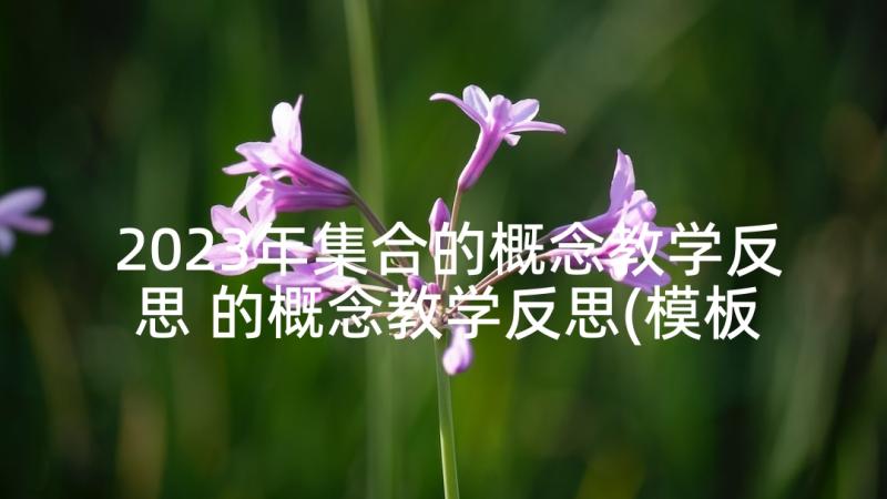 2023年集合的概念教学反思 的概念教学反思(模板6篇)