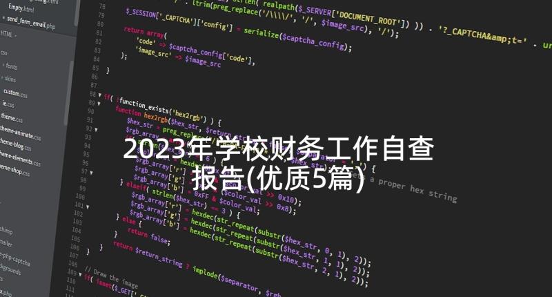 2023年学校财务工作自查报告(优质5篇)