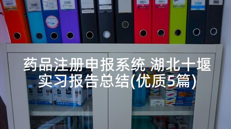 药品注册申报系统 湖北十堰实习报告总结(优质5篇)