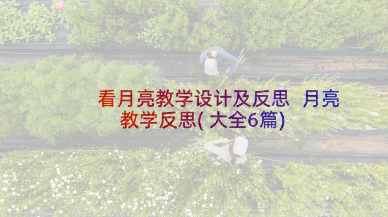 看月亮教学设计及反思 月亮教学反思(大全6篇)