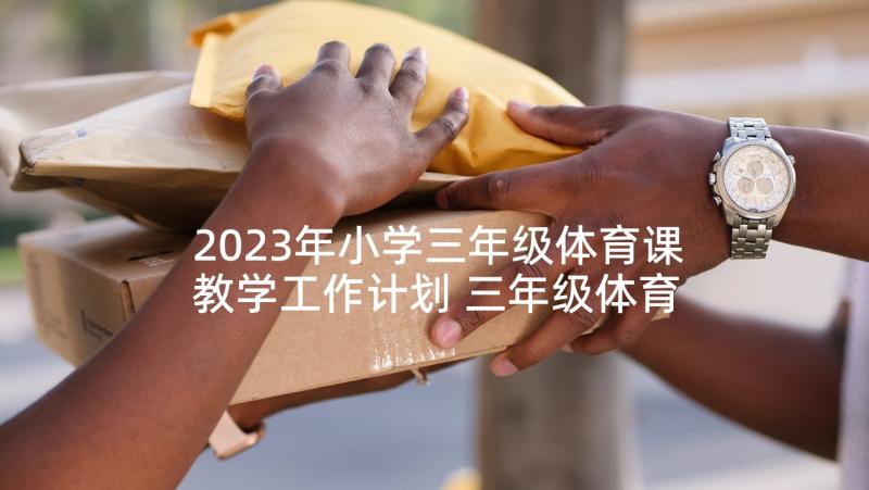 2023年小学三年级体育课教学工作计划 三年级体育教学计划(优秀5篇)