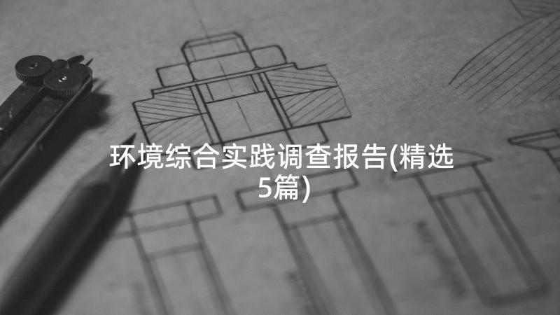 环境综合实践调查报告(精选5篇)