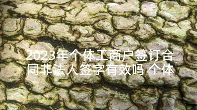 2023年个体工商户签订合同非法人签字有效吗 个体工商户转让合同(模板5篇)