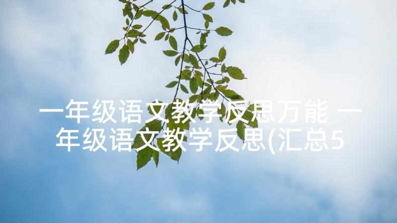 一年级语文教学反思万能 一年级语文教学反思(汇总5篇)