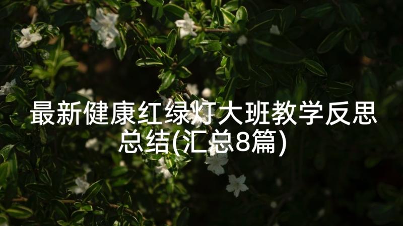 最新健康红绿灯大班教学反思总结(汇总8篇)