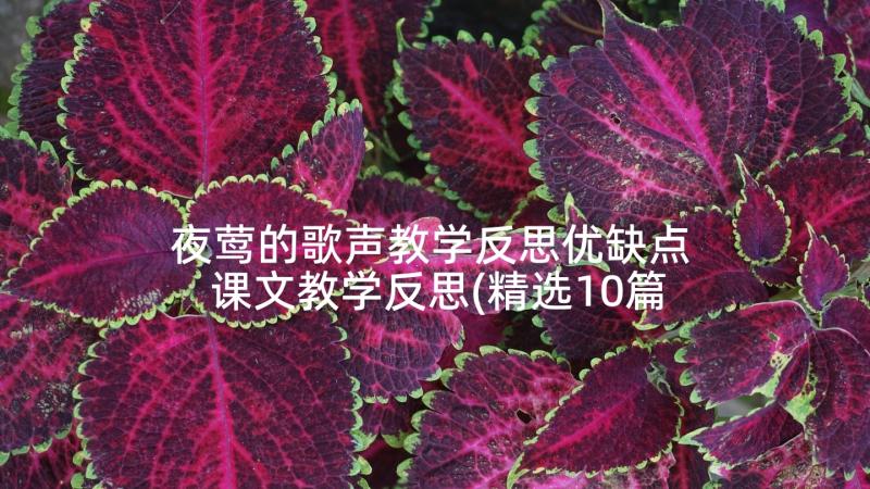 夜莺的歌声教学反思优缺点 课文教学反思(精选10篇)